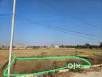 Plot Sale Adjoining CHANDIGARH AEROTOWN Derrabassi