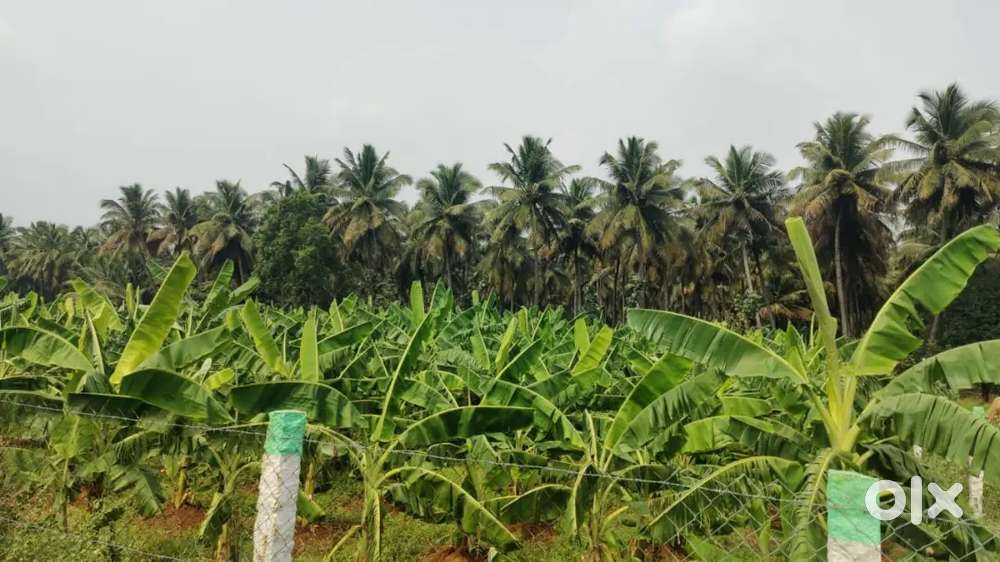 Farm house purpose property sales