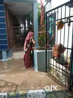 Makan bechani hi arjent