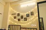 1rk need female roommate
