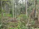 One acer land for sale at Mysore T Narsipura. Far house