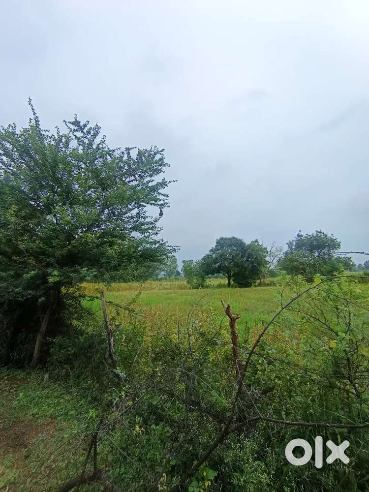 Agriculture land
