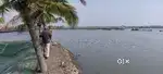 Paddy field for sale in Kadamakuddy