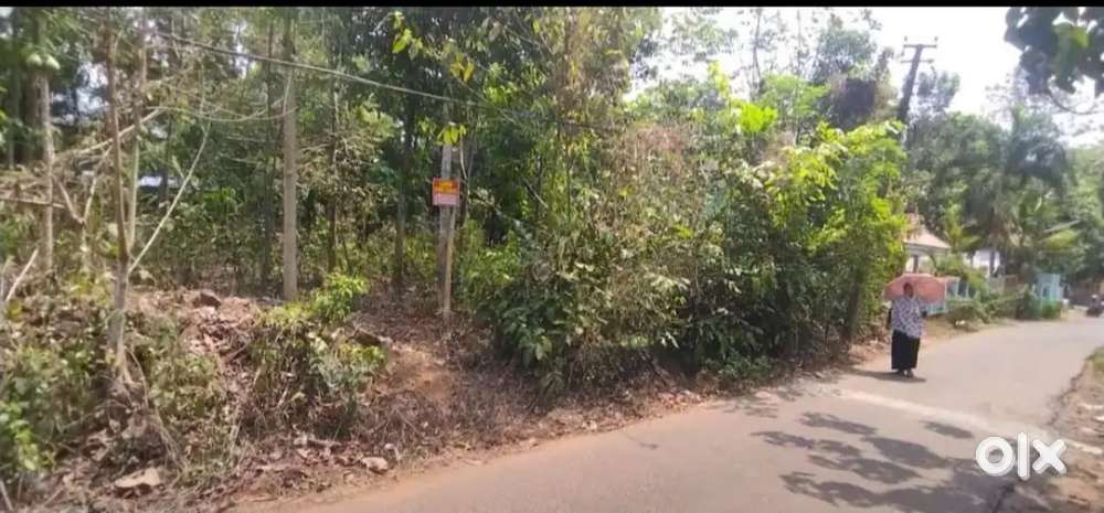 Road side Land for sale in mambra