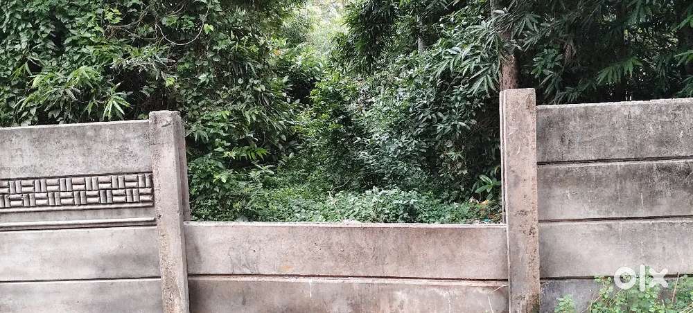 Plot for sale