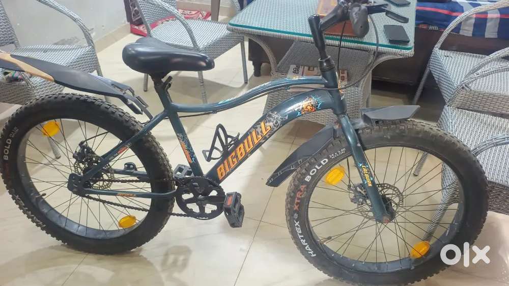 Almost, new bicycle, mint condition