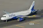 Apply now Ground Staff Jobs in indigo Airlines Vacancy nearest Airport
