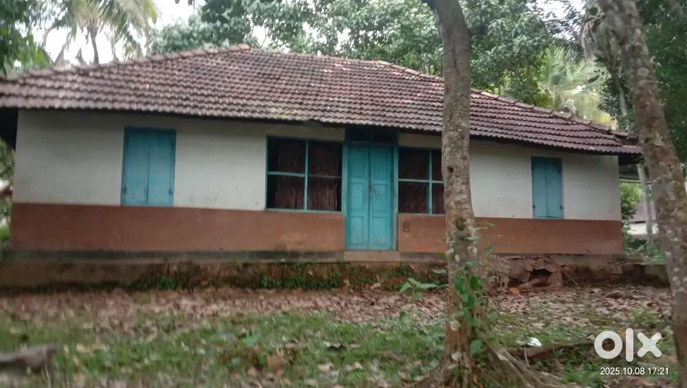 12.5 cent plot for sale near Kavalayoor