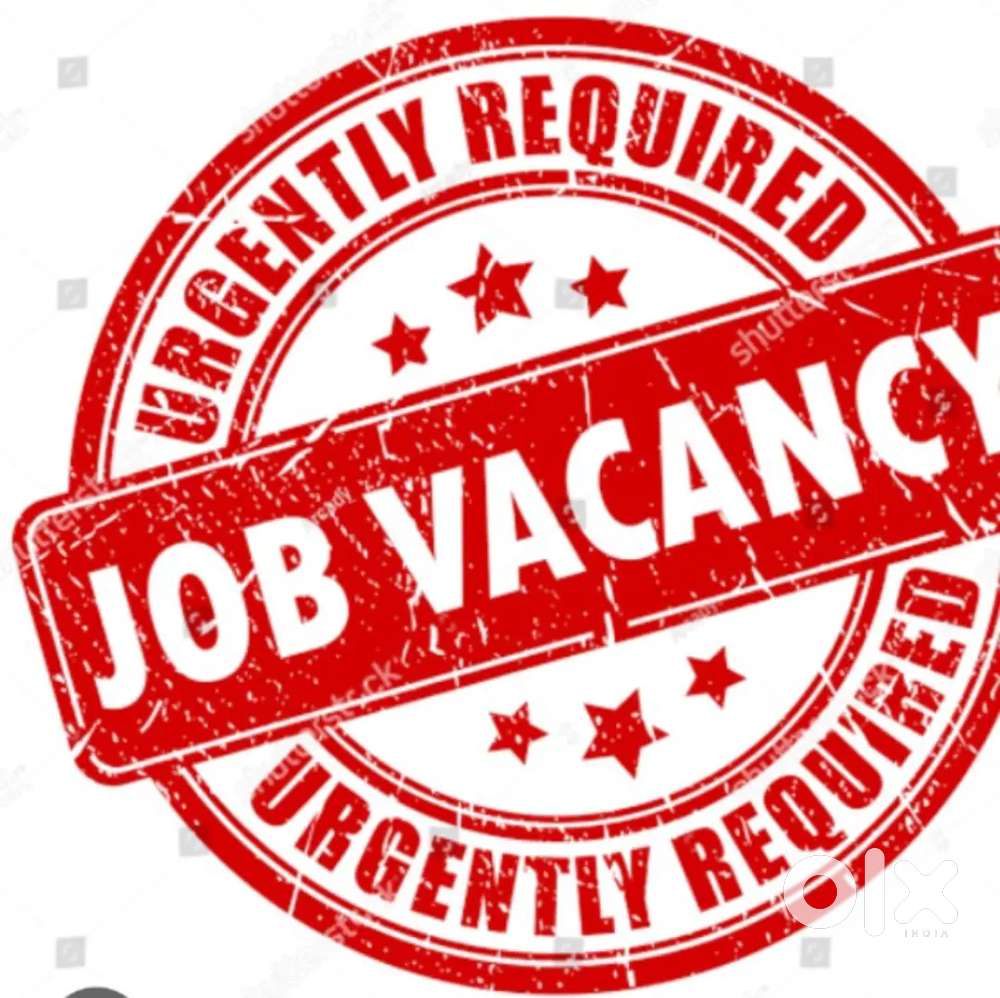 Window blinds technician