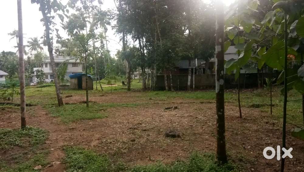 Land for sale Yordhanapuram