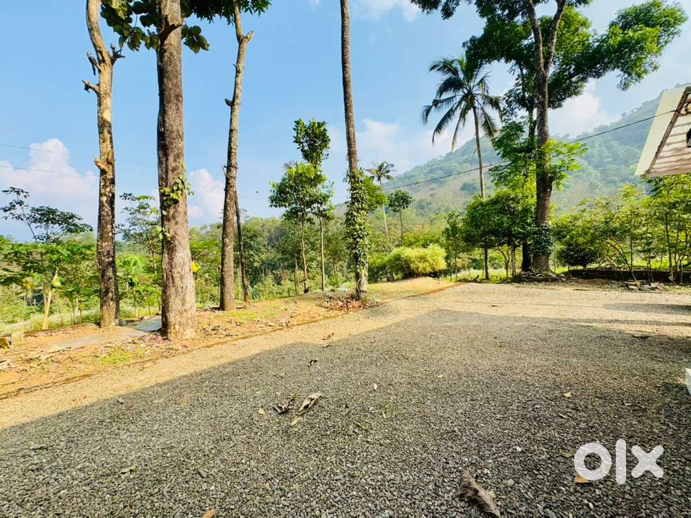 ഇലവീഴാപൂഞ്ചിറ 50 Cent Resort Property
