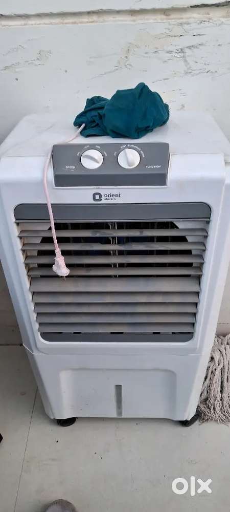 Orient electric cooler