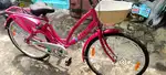 Ladybird cycle