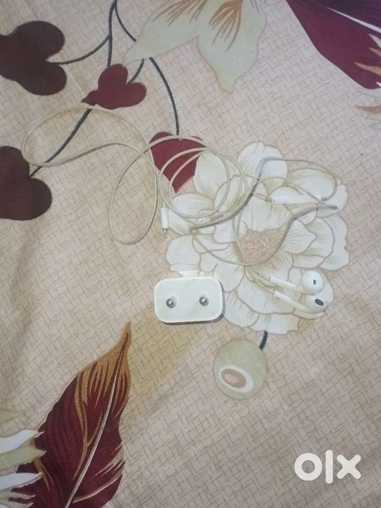 Apple 20 watt adapter and apple earfone