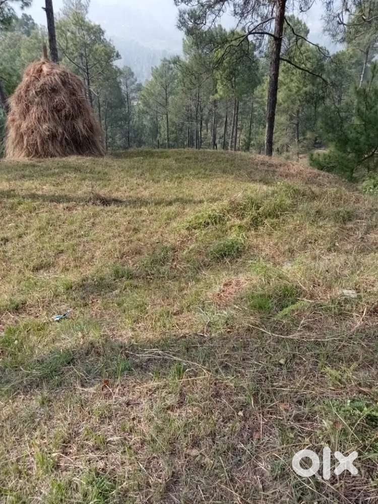 Selling my land due to urgent family situation