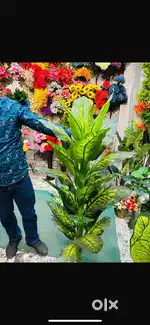 Artificial Plants at Very Low Rate