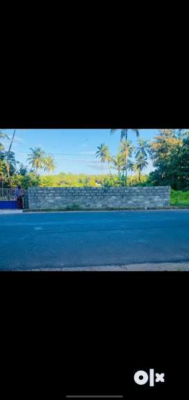 11.5 cents Plain land available for lease in perumpilavu highway