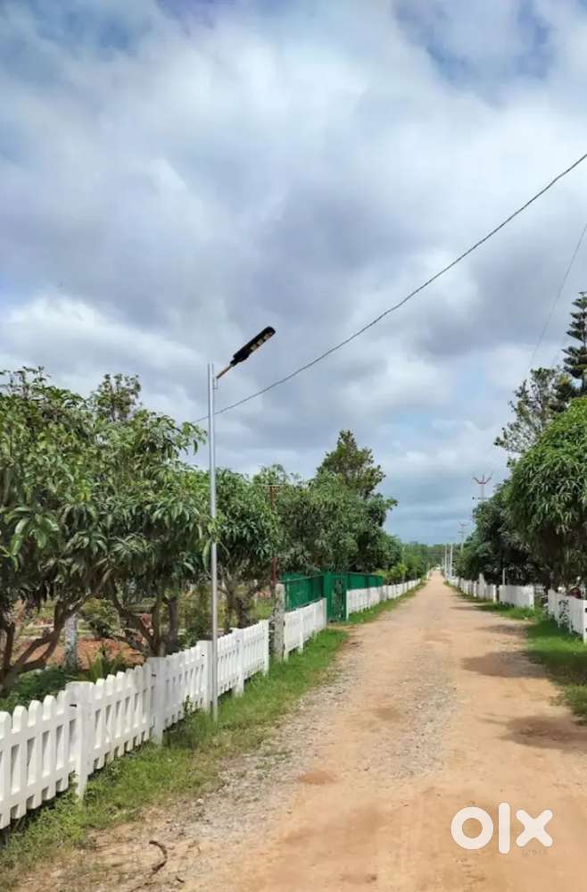 Plot for sale in fully managed farmland in Bangalore