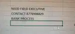 Need field executive ROTN