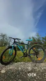It is 91 Brand it is 21 gears