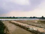 PLOT FOR SALE PATHOLI NEAR BY HOLLY LIGHT PUBLIC SCHOOL