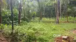 Best for farming plot