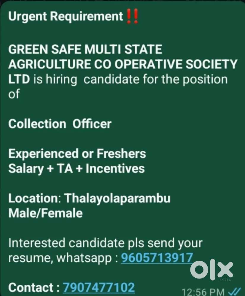 Collection Officer