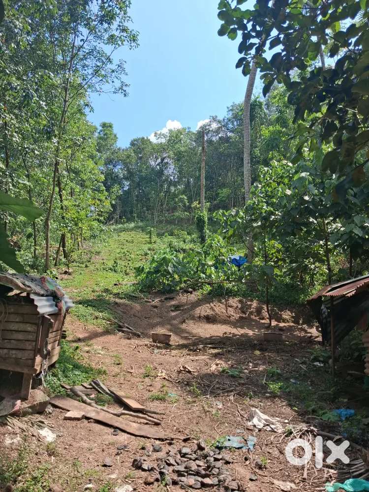 വെമ്പായം എഡിസ്സൺ വൈദ്യശാലയ്ക്കു സമീപഒരു 20 സെന്റ് വസ്തു വില്പനക്ക്