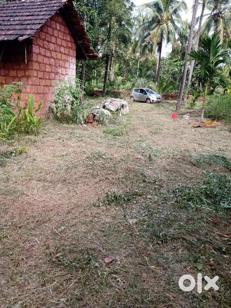 1.27 Acre RESIDENTIAL Land for sale at PERIYA KUNDANKUZHY ROAD