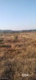 पैंतीस एकड़ - 1.5 करोड़ , जबलपुर से 72 km