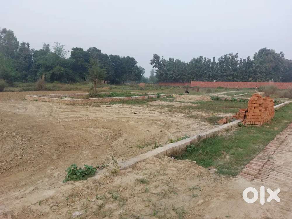 plot in jungal dhushan