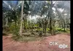 19 cent land with an old house near kunnamkulam. Near Parkkady temple