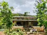 4.6 Acre Farm Land For Immediate Sale