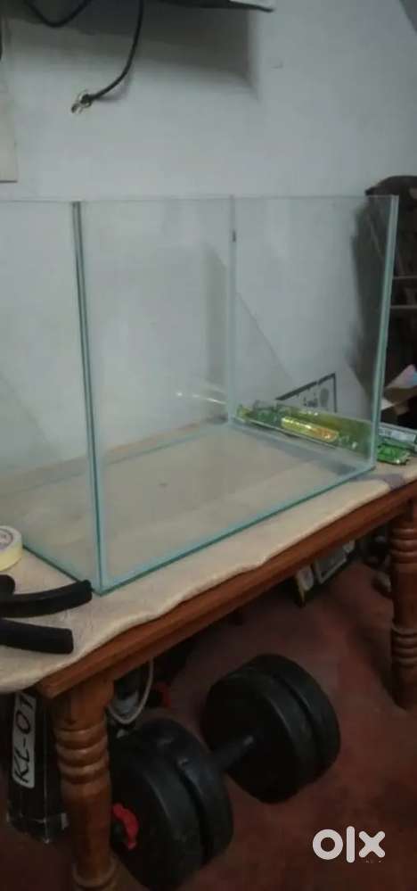 Fish tank new piece