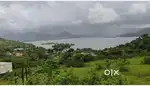 Pavana Lake view plot for sale at Lonavala