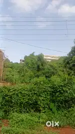 Plot for sale in dona paul