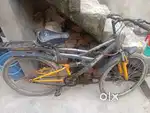Kross Company Cycle Conditions Is Well
