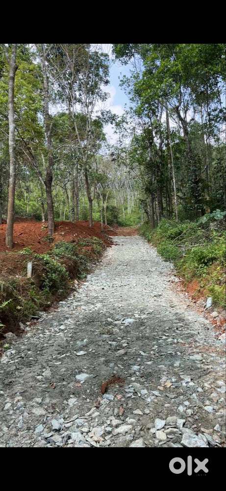 13 Cent Plots  Ellumannam, Wayanad  ₹80K/Cent