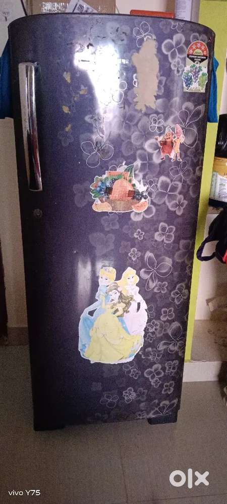 Samsung fridge 9-year-old