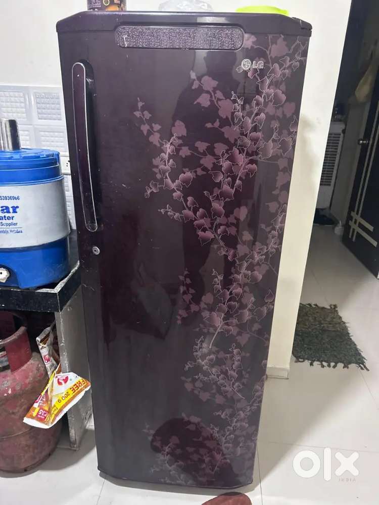 Long 220ltr fridge