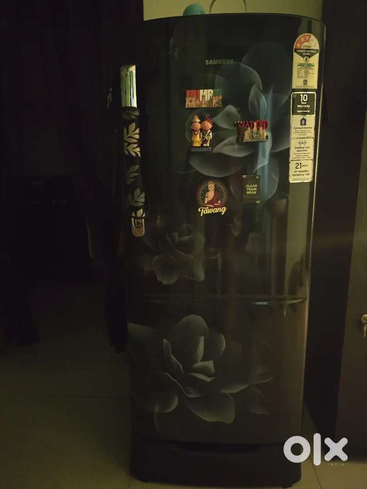 Samsung Single Door