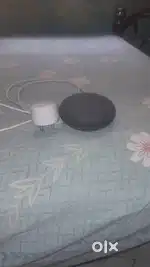 Mini home Google