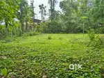 20 Cent House Plot For Sale In Myladi, Changanassery