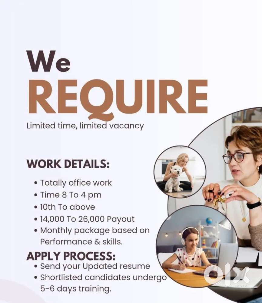 Multinational company branch office work
