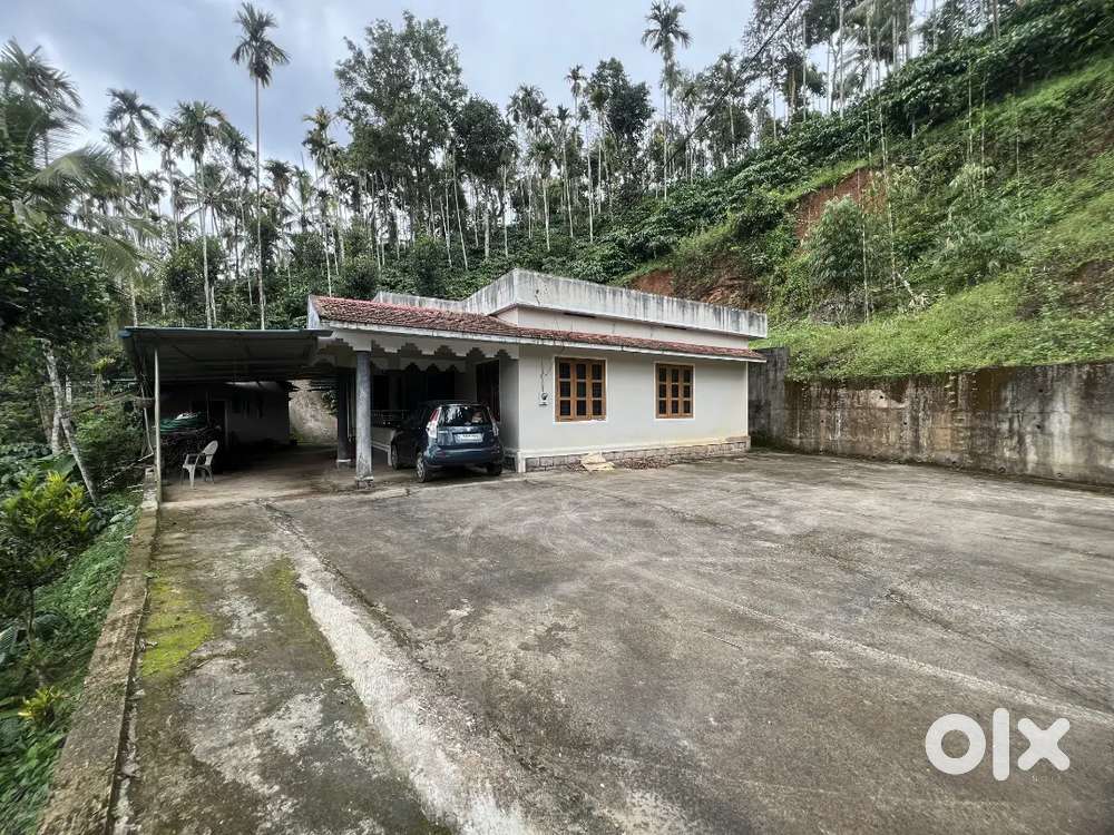 5 ACRE LAND WITH COFFEE LAND FOR SALE IN AMBALAVAYAL.