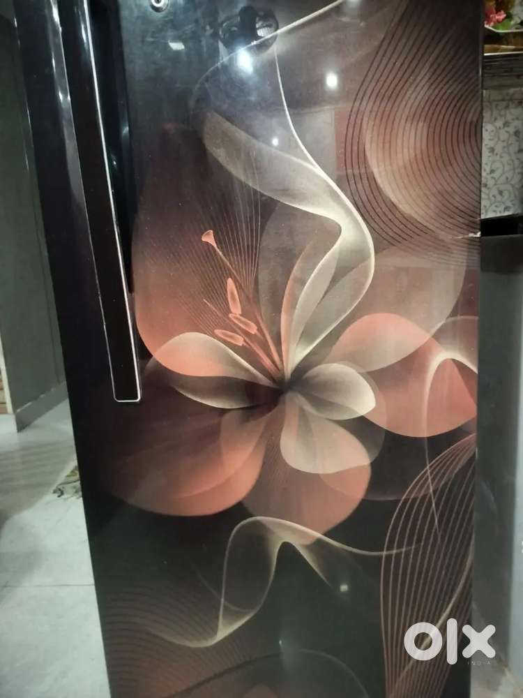 Double door fridge LG 308 L