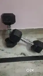 HEX DUMBBELLS 1 PAIR