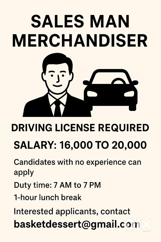 Male Salesman/Merchandiser
