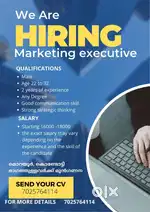 Sales executive job