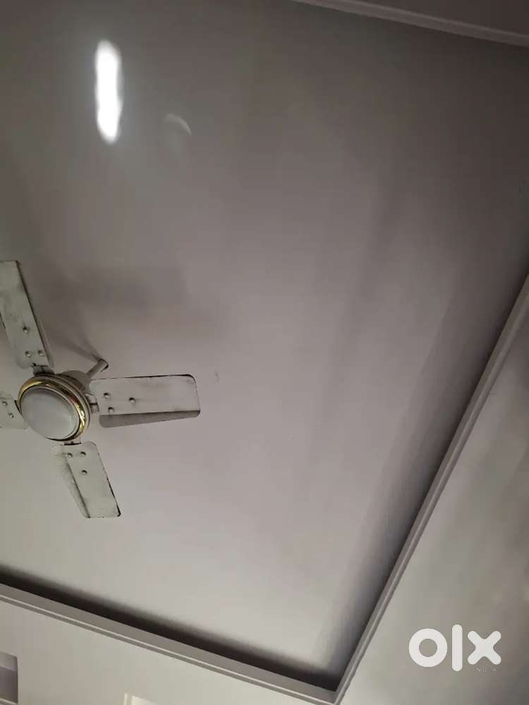 Room for rent only girls